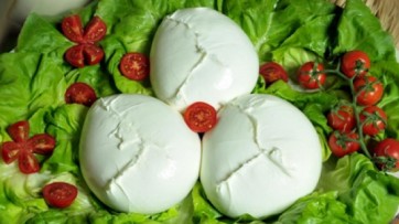 Le Strade della Mozzarella