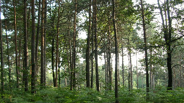 Grandi Progetti per il risanamento ambientale