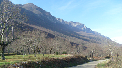 Forestazione, il 4 aprile firma dell'accordo