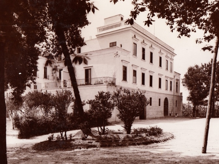 Piano di sviluppo dell'Istituto Domenico Martuscelli