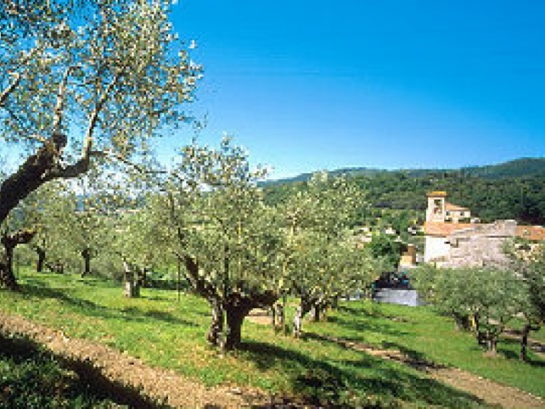 PNRR – Protezione e valorizzazione dell'Architettura e del paesaggio rurale - Proroga termini di consegna