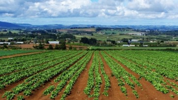 Commissione Politiche Agricole, Nugnes :"No alla riduzione delle risorse europee"