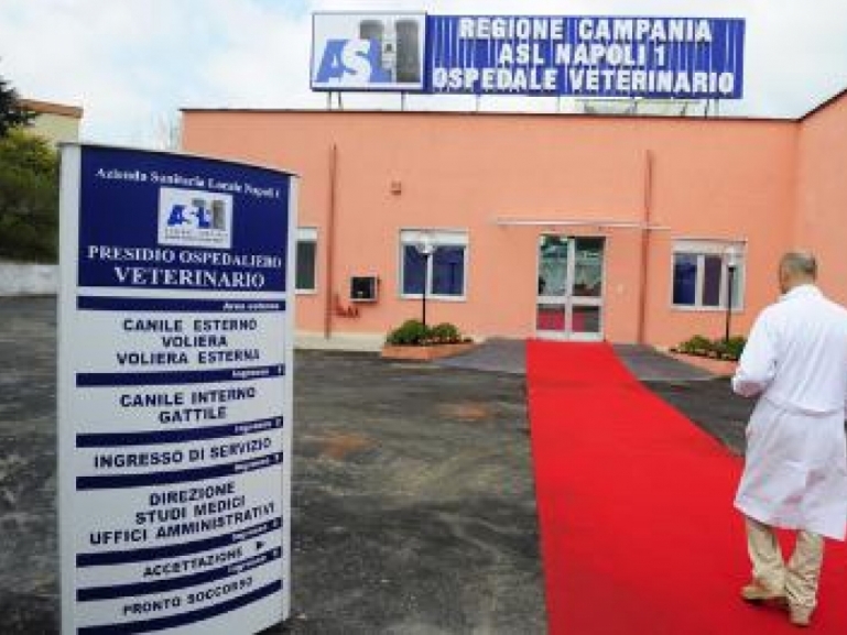  Presidio ospedaliero veterinario al "Frullone" - Via all'adeguamento strutturale del polo didattico integrato