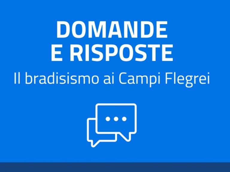 Domande e risposte