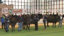 Agrosud, incontro con delegati di altri paesi