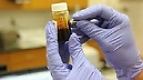 Ricerca Sanitaria Finalizzata 