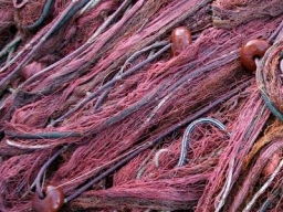 Pesca e Acquacoltura: 73 milioni per il comparto
