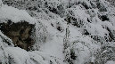 Emergenza neve, al via ricognizione costi sostenuti dagli enti locali
