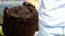 Compostaggio domestico, Romano approva linee guida